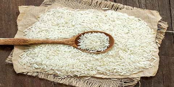 تصویر 5 از قیمت خرید برنج شمال شیرودی عمده به صرفه و ارزان